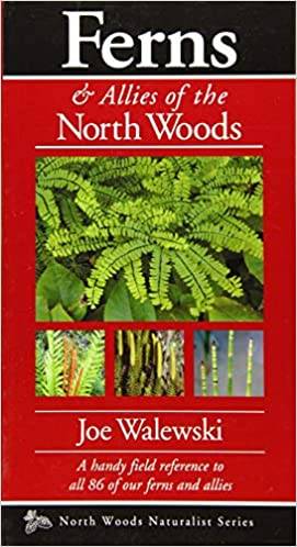 Ferns & Allies of the North Woods